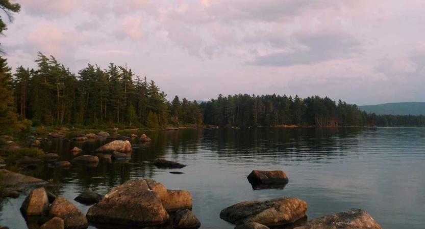 maine wilderness expeditions